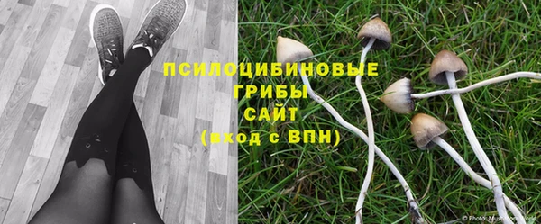 прущая мука Алексеевка
