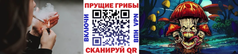 Галлюциногенные грибы ЛСД  KRAKEN зеркало  Александров  закладки 